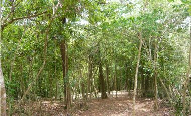 VENTA TERRENO CERRO AZUL