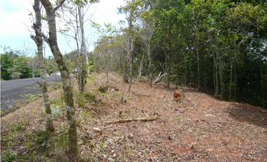 VENTA TERRENO CERRO AZUL