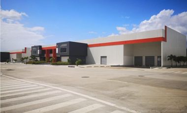 Bodega en Panapark Free Zone