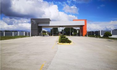 Bodega en Panapark Free Zone