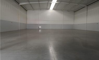 Bodega en Panapark Free Zone