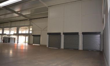 Bodega en Panapark Free Zone