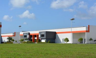 Bodega en Panapark Free Zone
