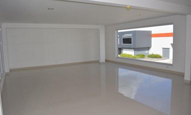 Bodega en Panapark Free Zone