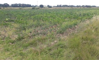 Terreno en venta, San José Chiapa