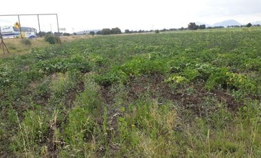 Terreno en venta, San José Chiapa