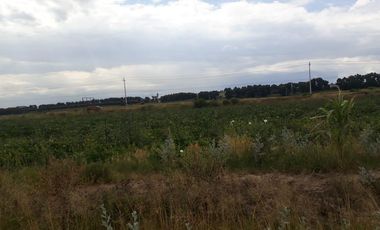 Terreno en venta, San José Chiapa