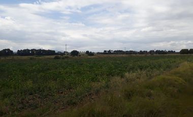 Terreno en venta, San José Chiapa