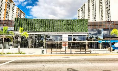 Midtown Tumba Muerto