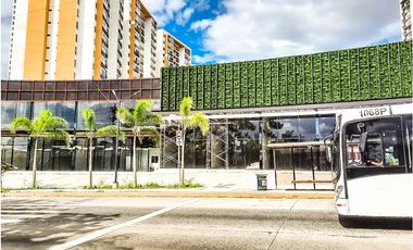 Midtown Tumba Muerto