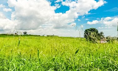 Terreno en Las Mañanitas