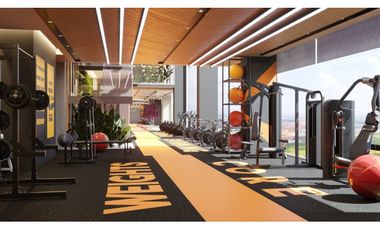 The Ivy Santa María