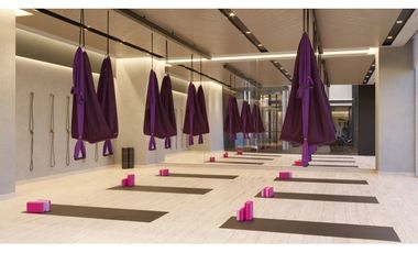 The Ivy Santa María