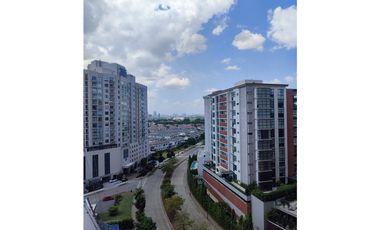 The Ivy Santa María