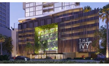 The Ivy Santa María