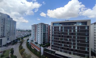 The Ivy Santa María