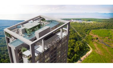 The Ivy Santa María