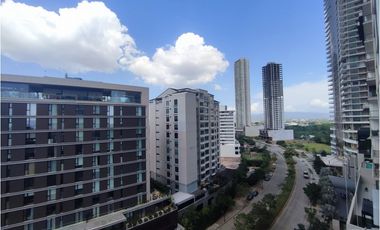 The Ivy Santa María