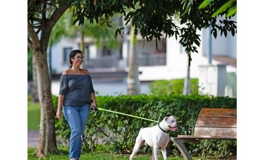 Bosques del Pacifico en Panama Pacifico
