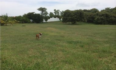 Terreno en Punta Barco