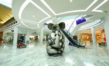 Local Comercial en Albrook Mall