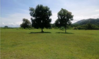 Veracruz frente al Mar