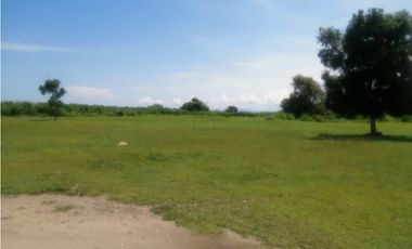 Veracruz frente al Mar