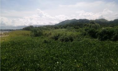 Veracruz frente al Mar