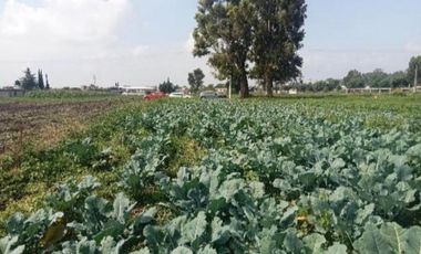 TERRENO EN VENTA A15 MIN DE HUEJOTZINGO Y A UNOS METROS DE LA FEDERAL A MÉXICO.