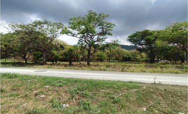 Terrenos Comerciales en Veracruz