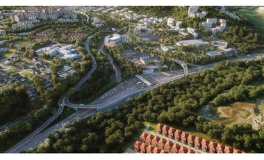 Macrolotes en Altos de Panamá