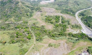 Macrolotes en Altos de Panamá