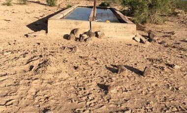 Finca - Chihuahua