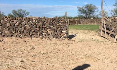 Finca - Chihuahua