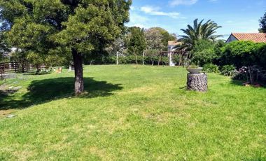 ALQUILER DUPLEX 4 AMBIENTES CHICO, BARRIO ALFAR.