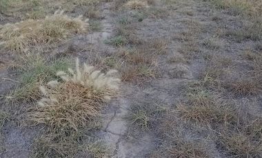 Terreno - Ampliación San Antonio