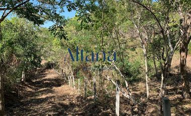 Terreno en  venta en Mazunte