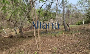 Terreno en  venta en Mazunte