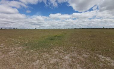 Terreno en El Llano, Aguascalientes