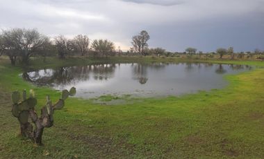 Terreno en El Llano, Aguascalientes