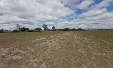 Terreno en El Llano, Aguascalientes
