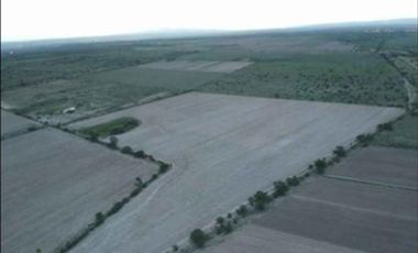 Terreno en El Llano, Aguascalientes