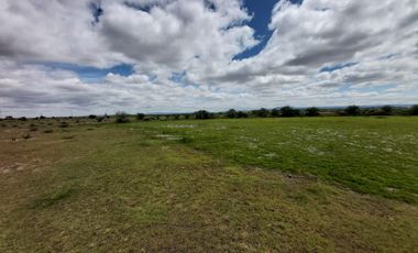 Terreno en El Llano, Aguascalientes