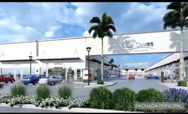 Local en Fraccionamiento Las Cavas, Aguascalientes