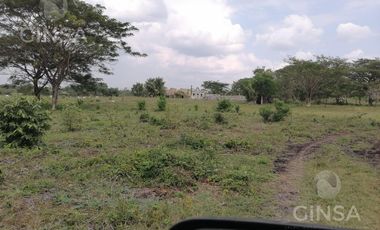 Terreno en San Joaquín