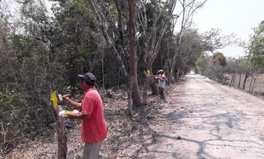Terreno en San Joaquín