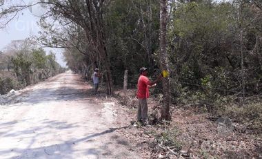 Terreno en San Joaquín