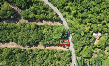 Terreno comunal sobre carretera rumbo a Cuatunalco