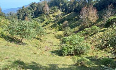 Terreno en venta en la zona de Teziutlán