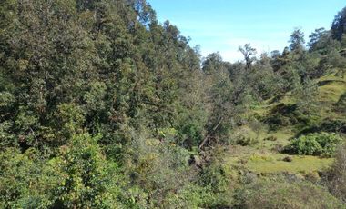 Terreno en venta en la zona de Teziutlán